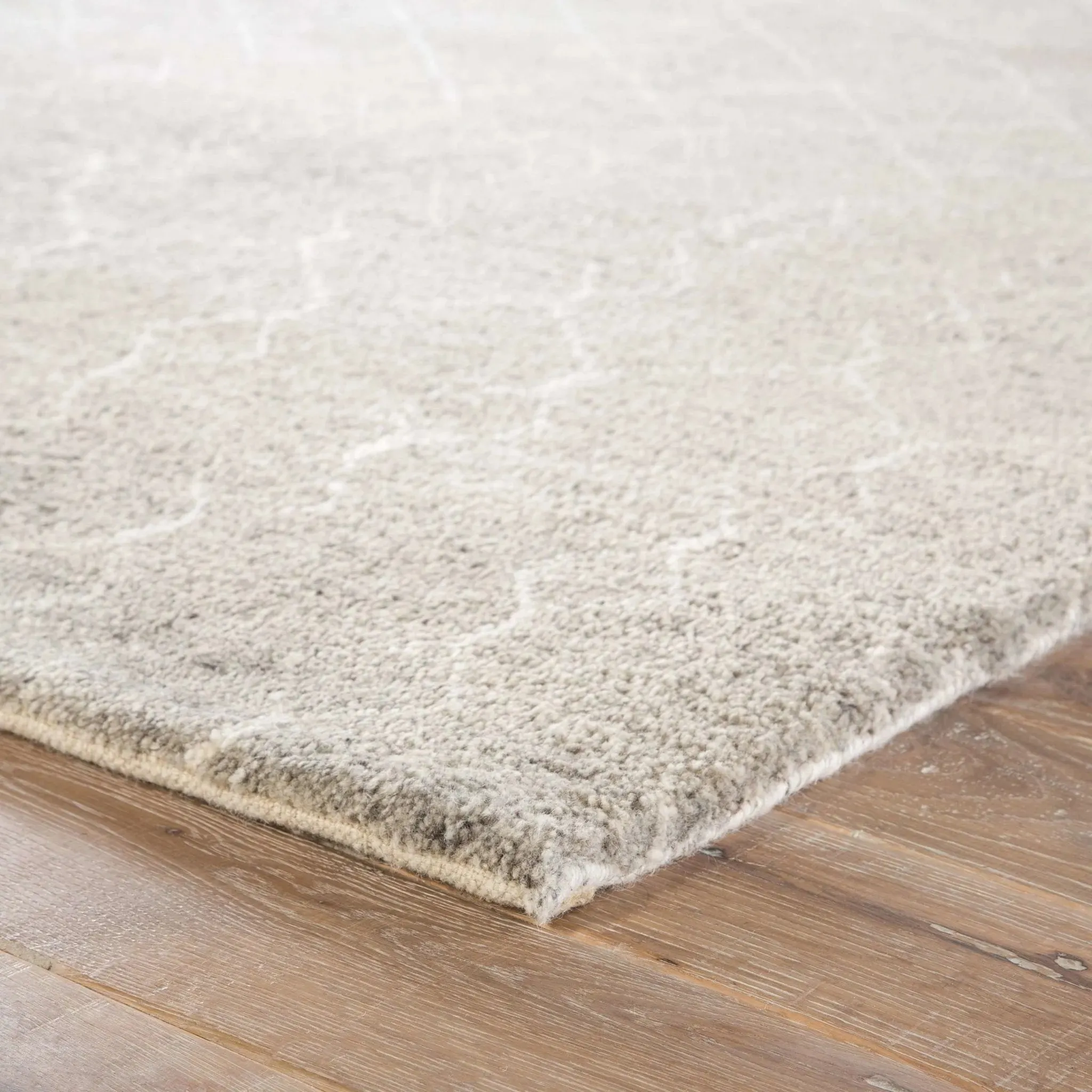 Gray and White Indira Margo Flint Cloud Dancer Rug